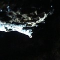 Narodziny stalaktytu