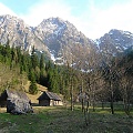 widoczkowo