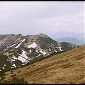 Chleb