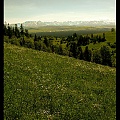 rzut oka na Tatry...