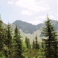 Rohacze