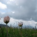 Tatry Zachodnie