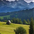 Świnica