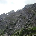 Mięgusze
