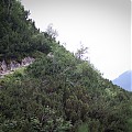 Morskie Oko