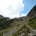 Ceprostrada