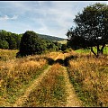 Beskid Niski x 1