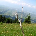 Tatry Zachodnie...