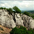 Dziurki