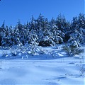 zima