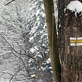 Podążając żółtym szlakiem