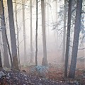 Wschód słońca Sokolicy 