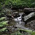 Beskid Żywiecki