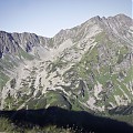 Rohacze