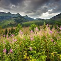 Tatry Bielskie