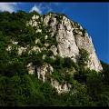 Sokolica