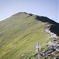 Rohacze