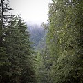 Morskie Oko