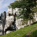 Birów