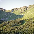 Rohacze