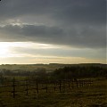 Rzędki