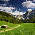 Polana