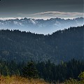 Tatry