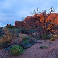 Arches