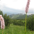Tatry Słowackie ...