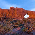 Arches