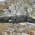Tatry Słowackie - Vychodna Vysoka