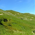 ,góry