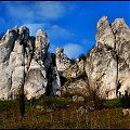 Rzędkowice