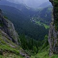 nosalowe widoki