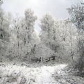 Bieszczady